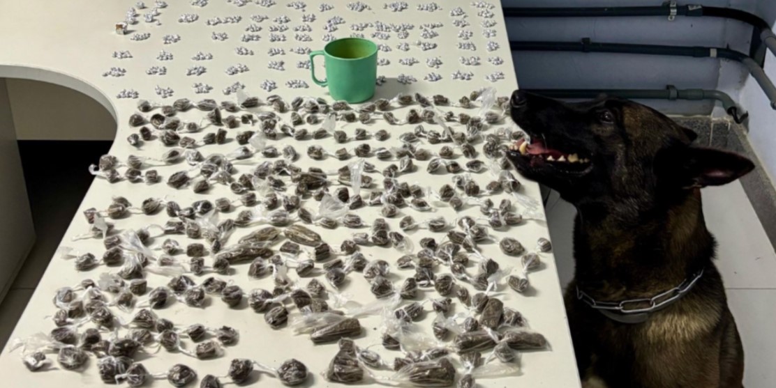 Mais de mil porções de drogas são apreendidas pela PM, com apoio do K9, em Pedro Canário.