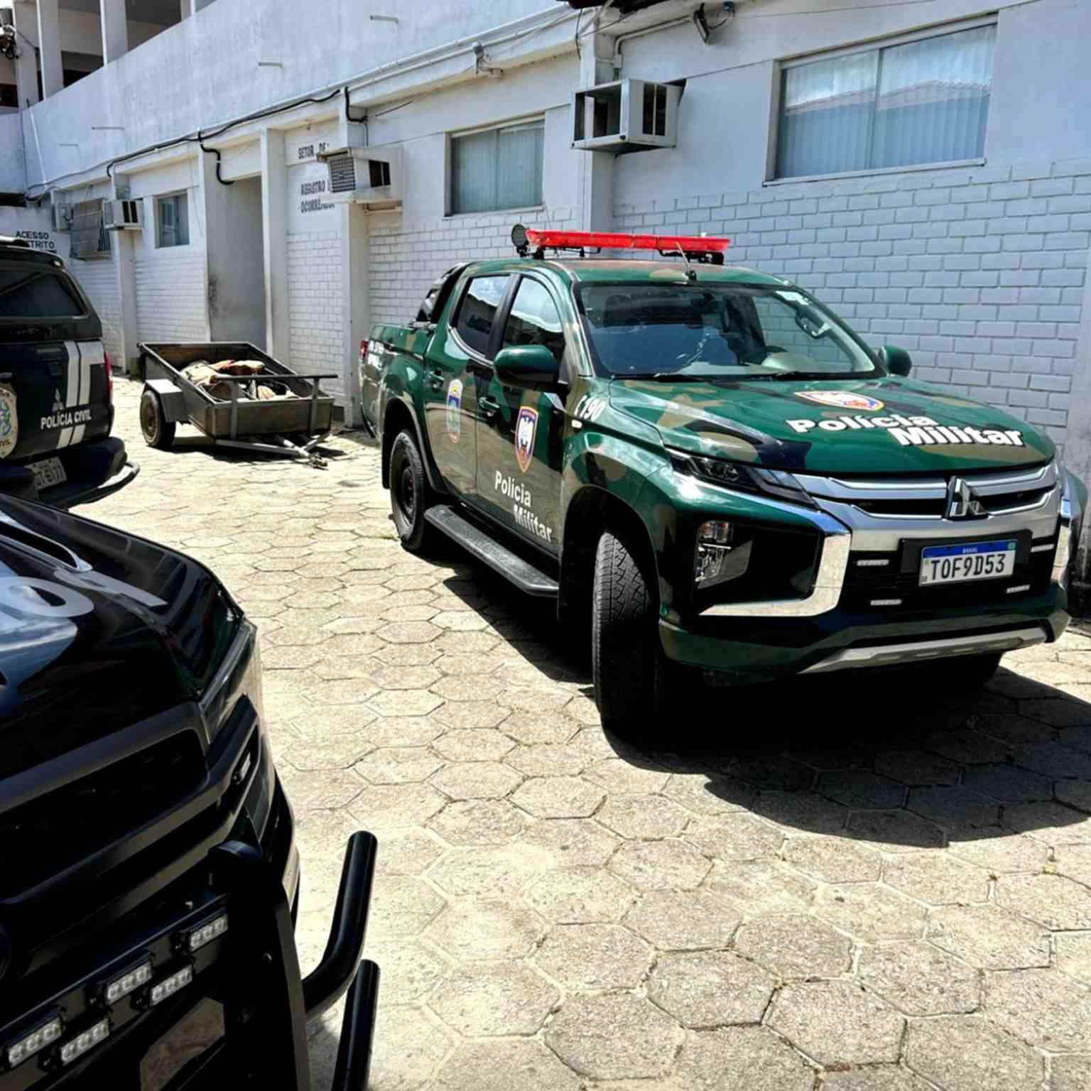 Captura de tubarão-martelo com filhotes resulta em detenção de pescadores em Guriri
