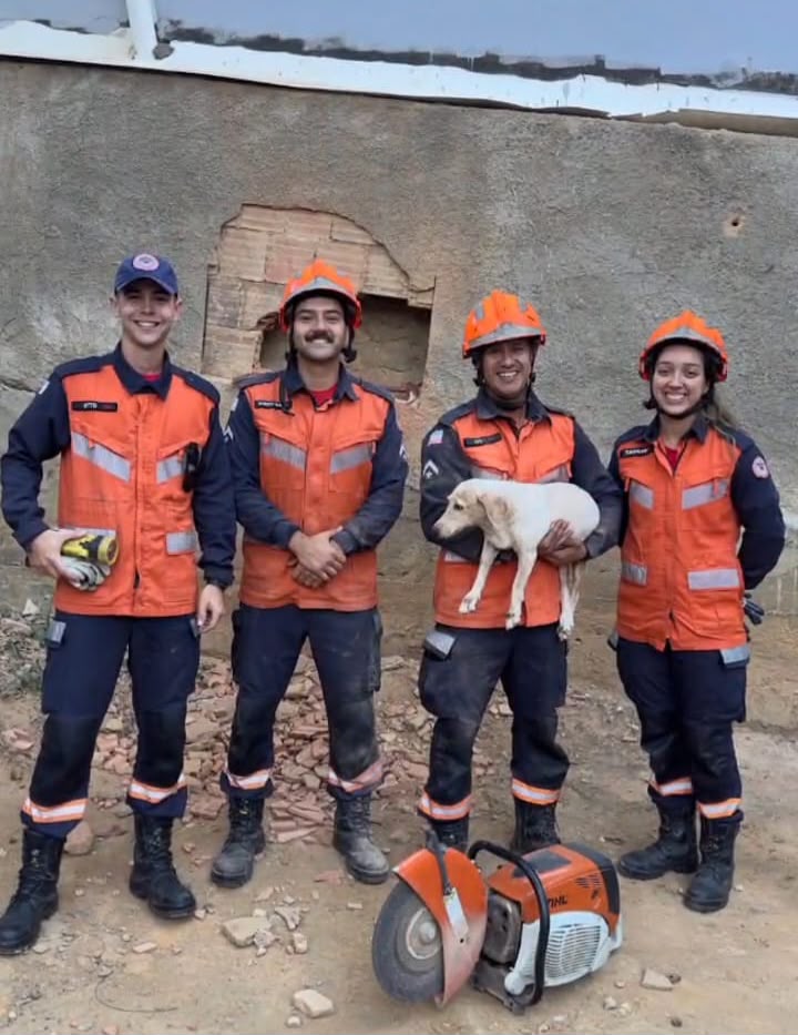 Cão é resgatado pelos Bombeiros após ficar preso entre muro e residência em Colatina