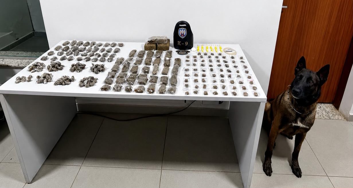 Cão Moisés auxilia PM na apreensão de grande quantidade de drogas no bairro Porto, em São Mateus